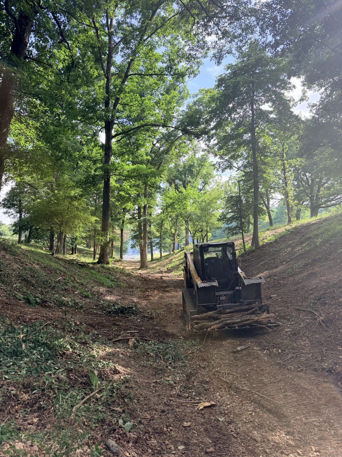 Skid steer on a freshly cleared access trail through the woods
