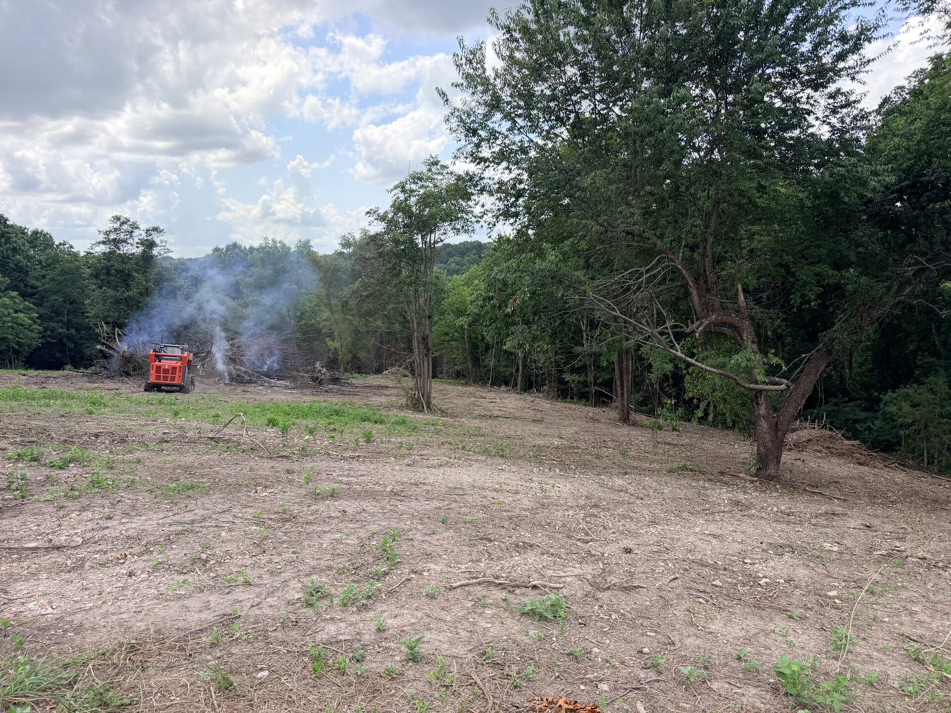 Freshly cleared acreage in Northwest Arkansas